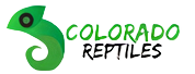 Exotic Reptiles