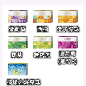 LEME樂美加熱煙彈 百果系列