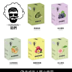 HAMAN哈們煙彈 通用Relx SP2S 一代主機 台灣現貨
